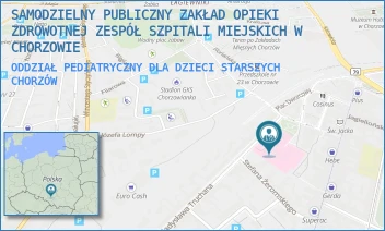 ODDZIAŁ PEDIATRYCZNY DLA DZIECI STARSZYCH - SAMODZIELNY PUBLICZNY ZAKŁAD OPIEKI ZDROWOTNEJ ZESPÓŁ SZPITALI MIEJSKICH W CHORZOWIE - UL. WŁADYSŁAWA TRUCHANA 7,  CHORZÓW